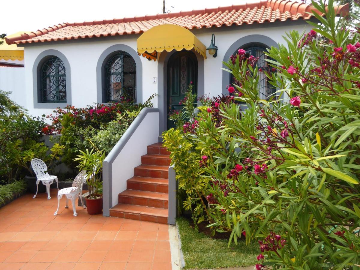 Apartment Erika Madeira *